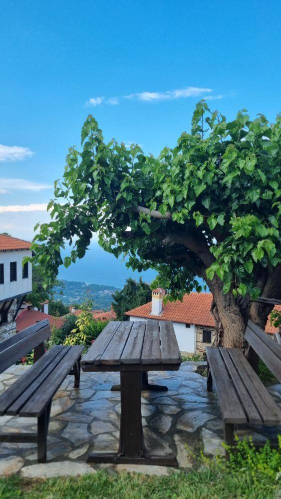 Guesthouse Eleni Palaios Panteleimonas Buitenkant foto